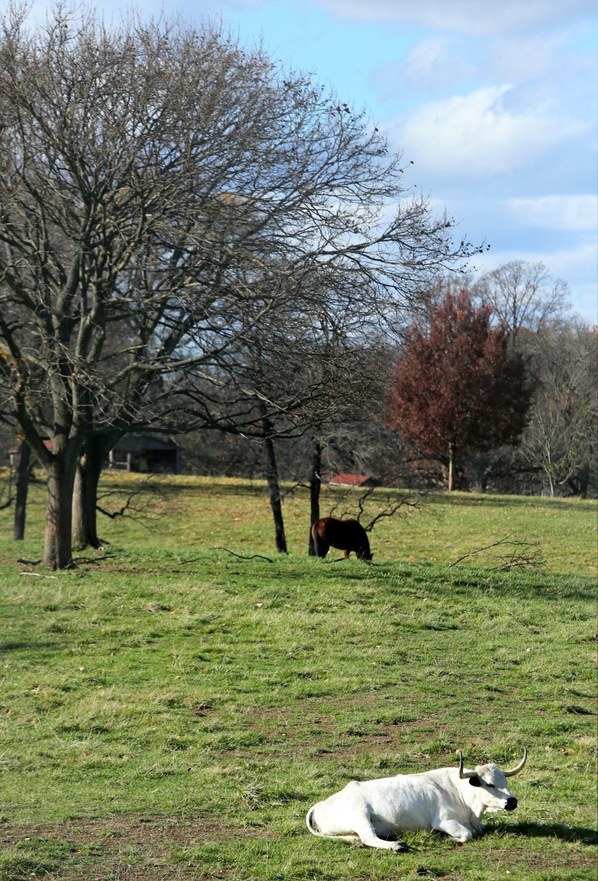 Grants Farm